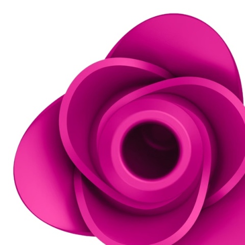 Bezdotykowy pulsacyjny masażer łechtaczki Liquid Air Satisfyer Pro 2 Modern Blossom